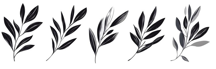 Black brush strokes of hand-drawn olive leaves on a white background. Ideal for scrapbooking and 2D illustrations, featuring simple line art and long shadows.