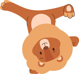 Playful Lion Doing Handstand