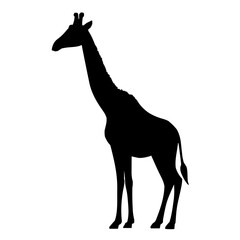 Obraz premium An illustration featuring a black giraffe silhouette set against a clean white background showing a giraffe with detailed neck and spots, symbolizing grace and uniqueness.