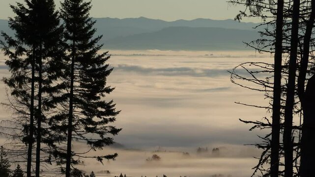 A PNW Foggy Timelapse
