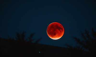 Prominent, large reddish-orange moon in the night sky, likely during a lunar eclipse, creating a vivid "blood moon" effect. The foreground includes silhouettes of tree branches against the dark sky.