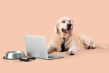 Cute Labrador dog in eyeglasses with necktie and laptop on beige background