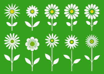 set of daisies