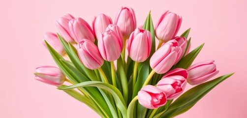 Obraz premium Delicate pink tulips arranged in a charming bouquet against a soft pastel pink backdrop, celebration, lovely