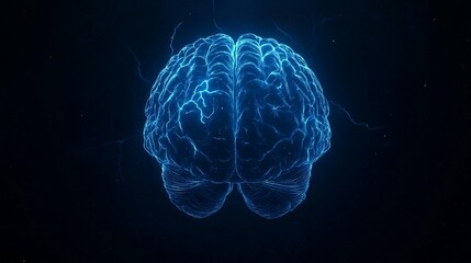 Human Brain, Illuminated, Dark Background