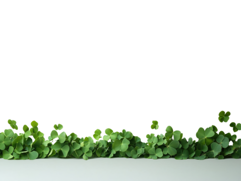 Minimalist Green Clover Border on White Background - Nature-Inspired Stock Photo for Design Projects
