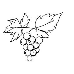 Stylized black line drawing of a grape cluster with two leaves, isolated