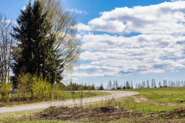 Beautiful spring landscape in Russia with a vast green field, budding trees, and a bright blue sky dotted with fluffy white clouds. A peaceful countryside scene in early spring