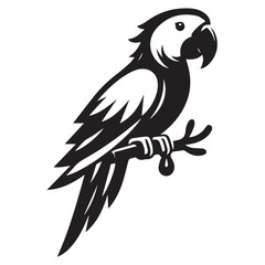 Obraz premium Parrot silhouette black and white vector icon