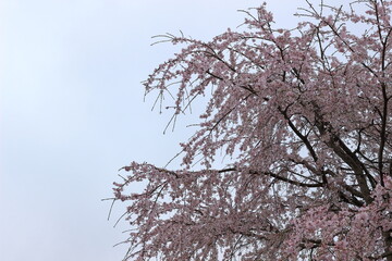 天空のバックグラウンド95