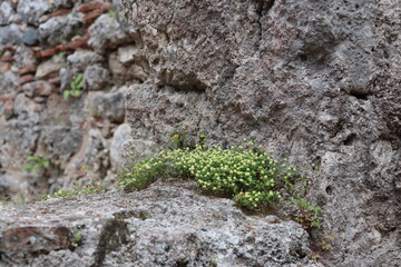 marble,stone texture 
