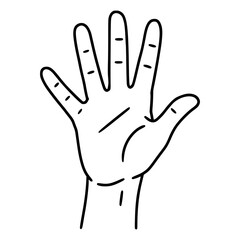 Plam Vector Isolated Illustration 