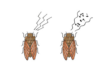 鳴くアブラゼミ