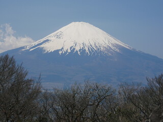 mt fuji in japan