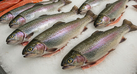 Fototapeta premium Freshly caught river trout laid on crushed ice at a food market, showcasing its quality and freshness