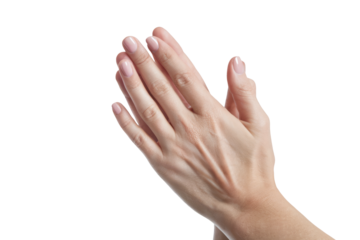 woman's hands clapping isolated on white background.