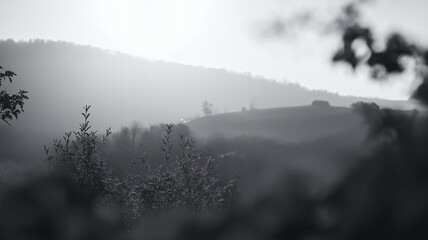 Fototapeta premium serene landscape featuring rolling hills and soft foliage, captured in monochrome. gentle light creates tranquil atmosphere, evoking sense of calm and nostalgia