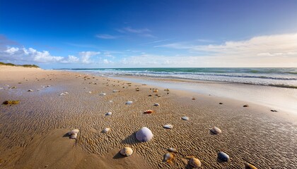 The beach is a sanctuary for the weary heart.  