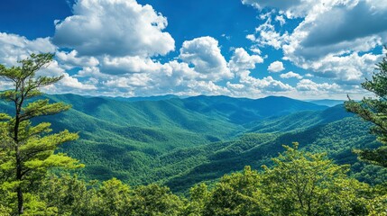 Obraz premium Beautiful mountain range covered in lush greenery with a blue sky and clouds.
