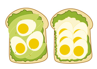 vector illustration of an egg