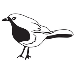 Obraz premium vector illustration of a bird