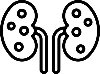 kidneys Illustration on a white background.