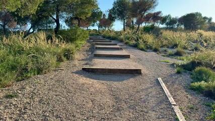 A breathtaking and picturesque trail that boasts wooden steps, vibrant lush greenery, and beautifully clear skies