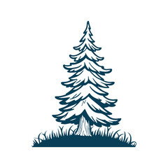 Obraz premium Pine tree vector illustration