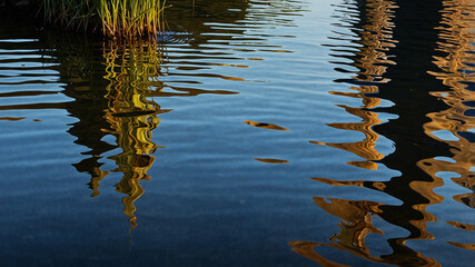 Reflections on Water