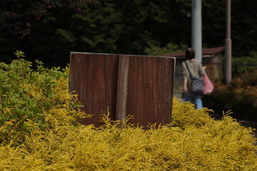 生い茂る葉に埋もれた看板