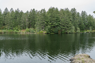 Upper Thetis lake at Thetis Lake Regional Park calm water and overcast day