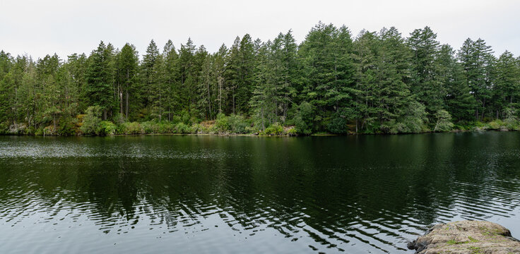 panorama Upper Thetis lake at Thetis Lake Regional Park calm water and overcast day