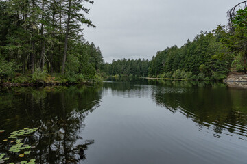 Upper Thetis lake at Thetis Lake Regional Park calm water and overcast day