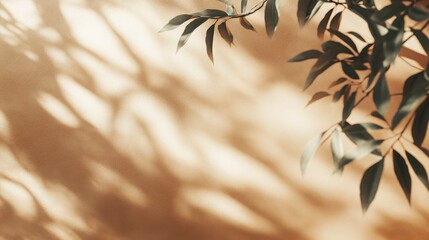 Minimalist earth-tone backdrop with a warm clay-like smooth texture.