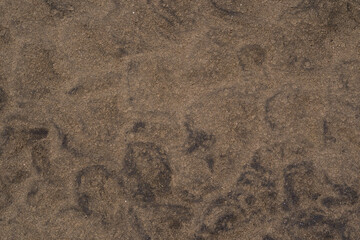 textura de arena obscura de la playa en el golfo de méxico