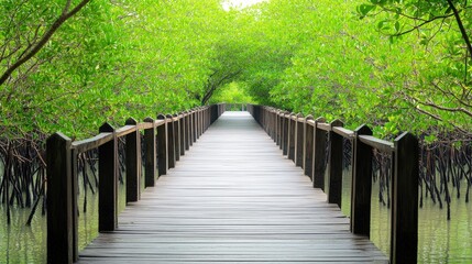 Obraz premium Serene boardwalk path through lush green mangrove forest. Tranquil nature scene perfect for travel, nature, and serenity themes.
