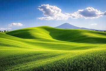 Fototapeta premium A serene landscape featuring rolling green hills under a bright blue sky with fluffy clouds and a distant mountain peak.