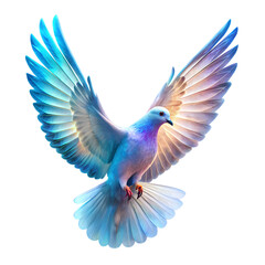Obraz premium blue and yellow macaw