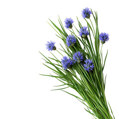 Fototapeta premium Blue flowers and green grass bouquet on black background