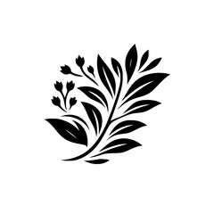 Minimalist Floral Illustration, Black Leaves & Buds on White