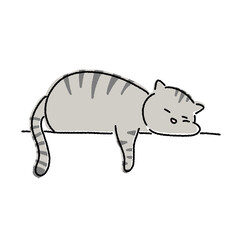 a cat that takes a nap