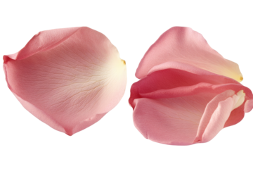 iGigapixel Standard 4X on transparent background