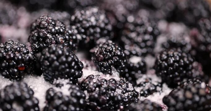 ripe black blackberries in a wooden bowl sprinkled with sugar , sour but ripe blackberries on the table with white sweet sugar