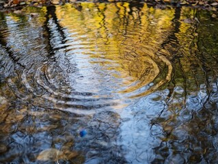 Obraz premium Autumn Reflections and Ripples in Water