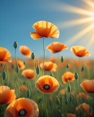 Obraz premium Field of blooming orange poppies bathed in golden sunlight under a clear blue sky, symbolizing warmth, peace, springtime, natural beauty, and the serenity of a sunlit morning landscape.