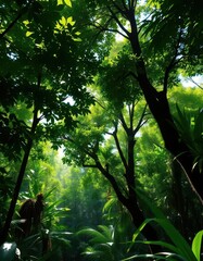 Fototapeta premium Lush green canopy, sunlight dappling rainforest floor, rainforest scene, fauna
