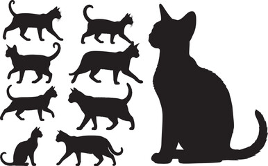 Abyssinian Cat Silhouette