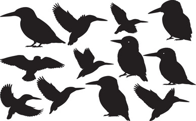 Obraz premium Kingfisher Silhouette