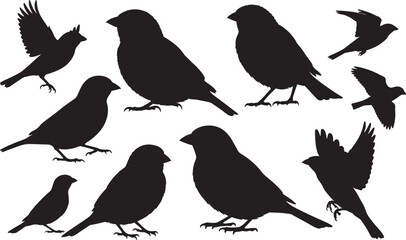 Silhouette of a Sparrow