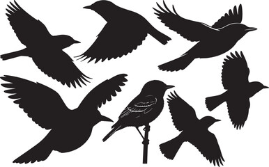 Obraz premium Silhouette of an Acadian Flycatcher in Mid-Air